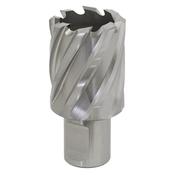 30mm HSS Mag Drill Bit Cut Depth 25mm image