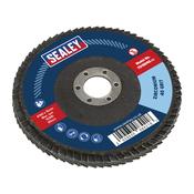 100mm Zirconium Flap Disc 40Grit 16mm Bore image