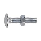 Zinc Plated Coach Bolt &amp;amp; Nut M8 x 40mm, DIN 603 - Pack of 50 image