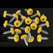 Numberplate Screw with Plastic Enclosed Head 4.8 x 18mm, Yellow - Pack of 50 image