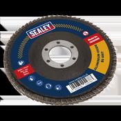 100mm Aluminium Oxide Flap Disc 80Grit 16mm Bore image
