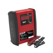 12V/15A 24V/10A Intelligent Speed Charge Battery Charger/Maintainer image