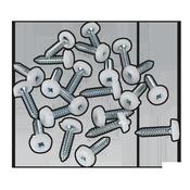 Numberplate Screw with Plastic Enclosed Head 4.8 x 24mm, White - Pack of 50 image
