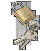 Brass Body Padlock 30mm image