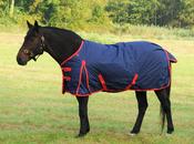 TRI Arkle Standard Neck Turnout 200G - 5ft6in image