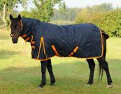 TRI Arkle Full Neck Heavyweight Turnout Rug - 350g - 5ft image