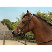 Windsor Raised Leather Flash Bridle - Black - Full / Havana image