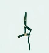 Turfmasters Nylon Halter – Foal Slip - Green image