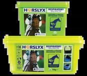 Horslyx Garlic Horse Lick - 15kg - Respiratory image
