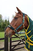Turfmasters Fleece/Nylon Headcollar Green/Gold - Pony