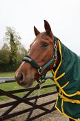 Turfmasters Vortex Heavyweight Combo Turnout Rug - 350g - Green - 5ft9in image