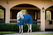 Amigo Horseware Ripstop Insulator Stable Rug Lightweight 100g - Navy/Grey - 6ft9in image