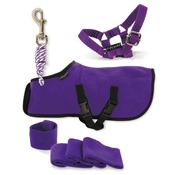 Crafty Ponies Toy Pony Rug Set - Purple image