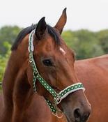 QHP Christmas Elf Headcollar - Pony image