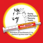 Pro-Dosa Boost Syringe image
