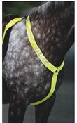 Equiflector Reflective Breastplate - Pony - Cob