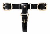 Turfmasters In-Hand Showing Leather T-Piece Lead Coupling - Brown image