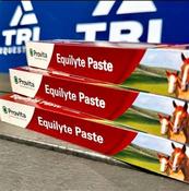 Provita Equilyte Athletic Horse Recovery Electrolyte Paste Syringe - 30g image