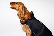 Horseware Newmarket Dog Coat - Witney Gold - XXL image