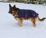 Mackey Buster Dog Coat - 40cm image