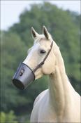 Hard Plastic Muzzle image