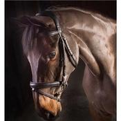 EcoRider Ecolux Horse Bridle - Brown - Full / Brown image