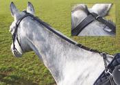Daisy Rein Anti-Grazing Training Aid - Black image