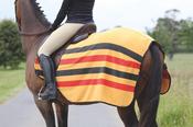Tempest Newmarket Exercise Sheet - 51in / Multicolor image