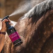 CDM Canter Mane &amp; Tail Conditioner Spray - 1L - 1L image
