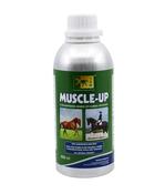Muscle-Up Equine Liquid Supplement - 450mL