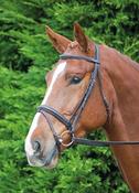 Velociti GARA Comfort Fit Bridle - Small Pony / Black image