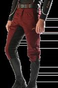 PC Racewear Duvall 150 Breeches - Burgundy - SMALL image
