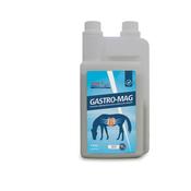 Gastro Mag Horse Supplement - 1 Litre image