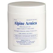 Alpine Arnica - 250ml - 250mL