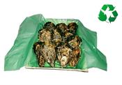 Waterproof Packing Sheets