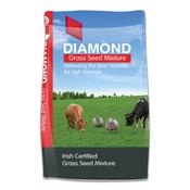Diamond Horse Paddock