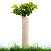 WhiptecBio Biodegradable Tree Guards image