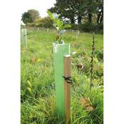 Whiptec Standard Tree Shelters