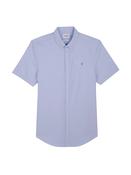 FARAH BREWER SS - SKY BLUE image