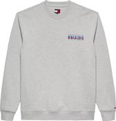 TOMMY JEANS REG ENTRY DNA PLAY CREW - ICE GREY