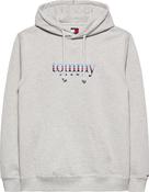 TOMMY JEANS REG ENTRY DNA PLAY HOOD - ICE GREY