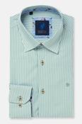 BENETTI ALEXANDER L/S SHIRT - SAGE image