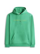 TOMMY JEANS REG LINEAR LOGO HOODIE - BAHAMA GREEN