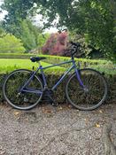 Raleigh Purple image