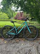 Ridgeback Comet (M)