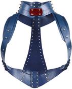 Holster Frame