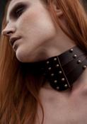 Strapped Collar