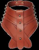 Posture Collar