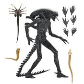 Alien Romulus Ultimate XX121 Xenomorph NECA Figure image