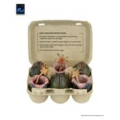 Aliens 40th Anniversary Carton of Alien Eggs NECA 6-Pack image